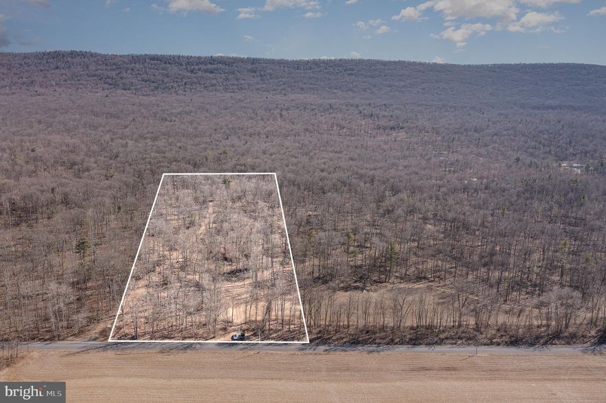 This large wooded estate lot is perfect for your dream home or cabin.  This quiet parcel is secluded but just 3 miles from town.  Flat to rolling terrain with lots of road frontage.  Existing access road.  Conveniently located just 20 minutes to Lewistown and 20 minutes to Bald Eagle state park.