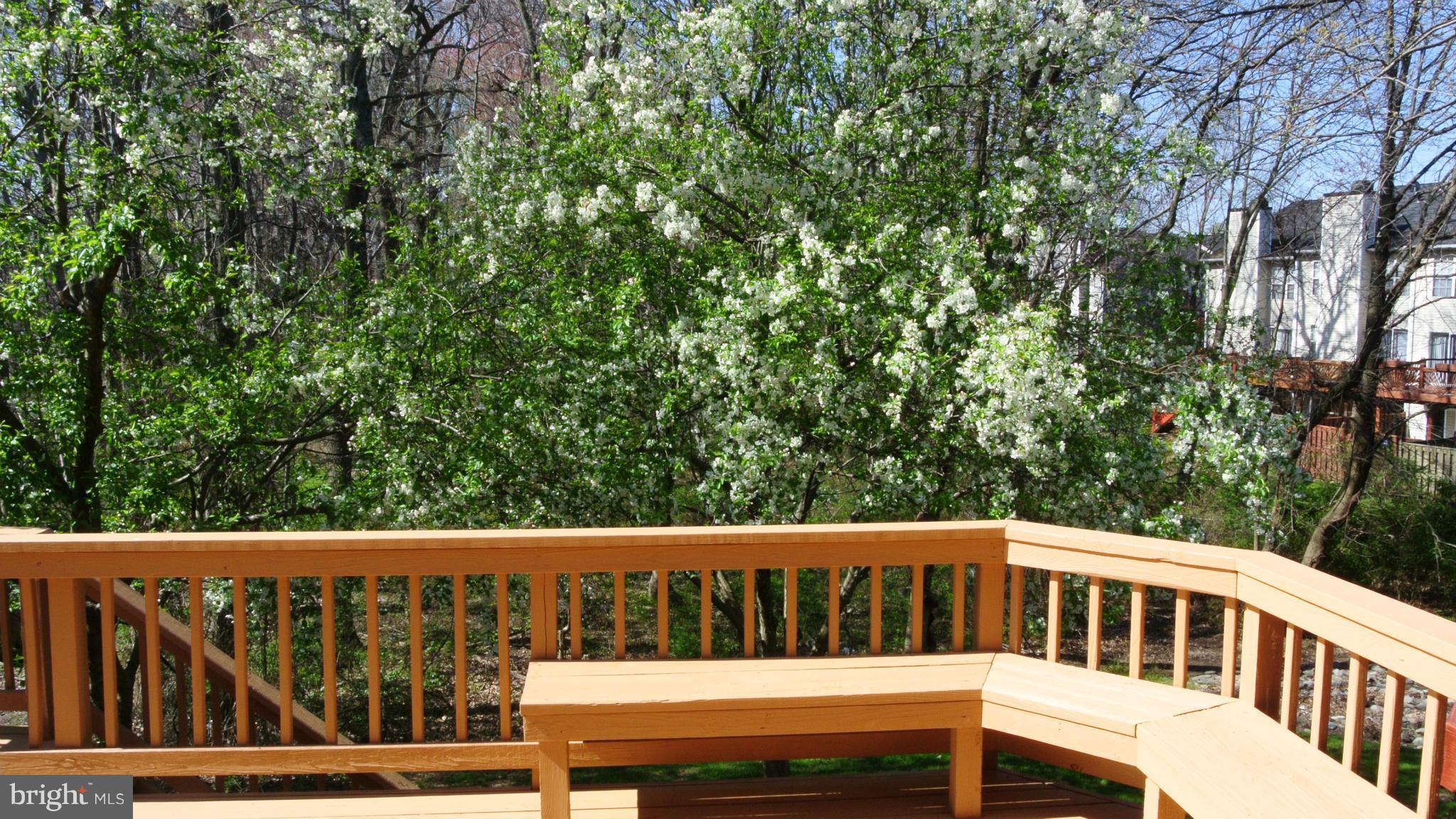 VILLAGE OF HICKORY RIDGE - Residential