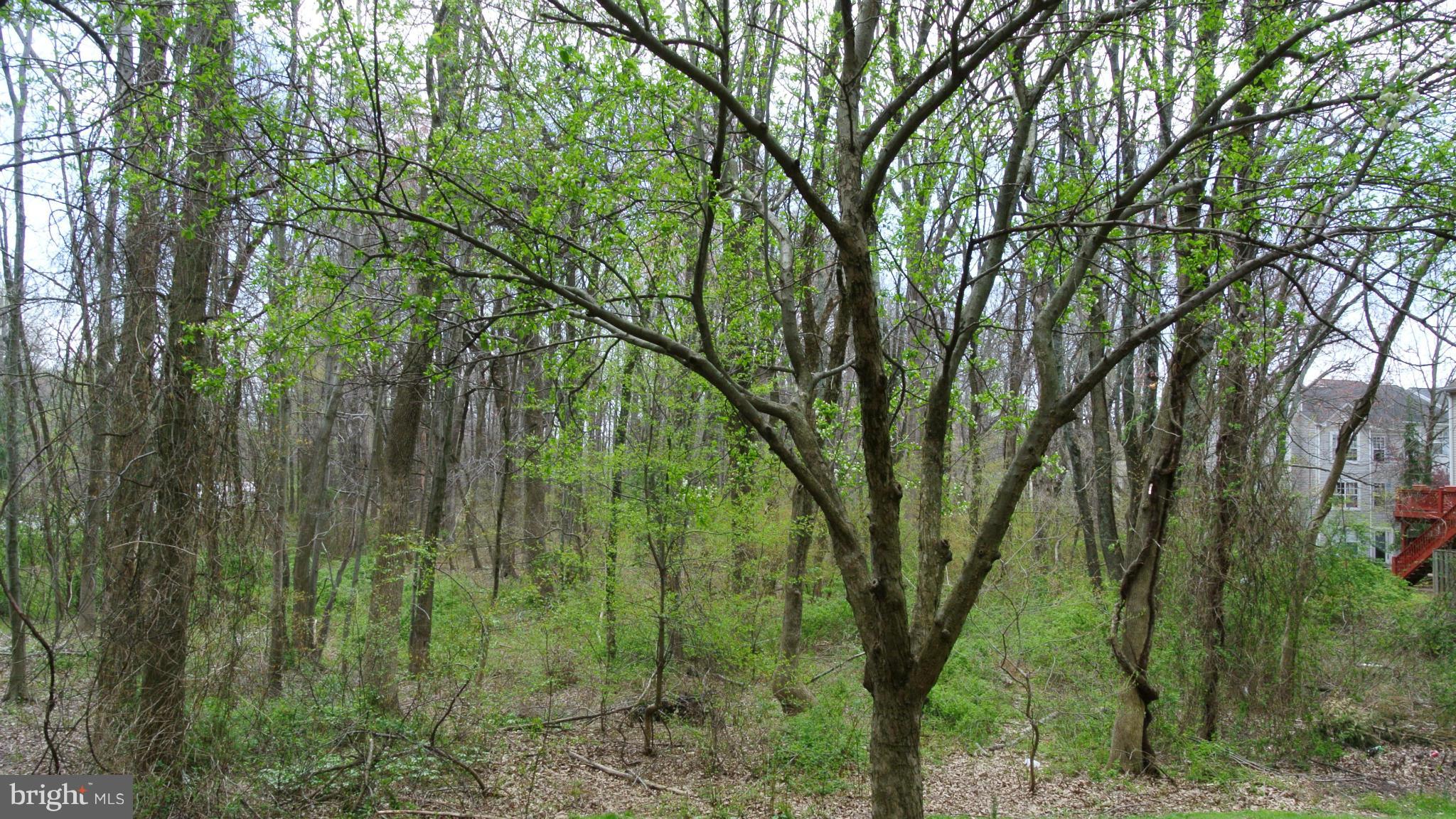 VILLAGE OF HICKORY RIDGE - Residential