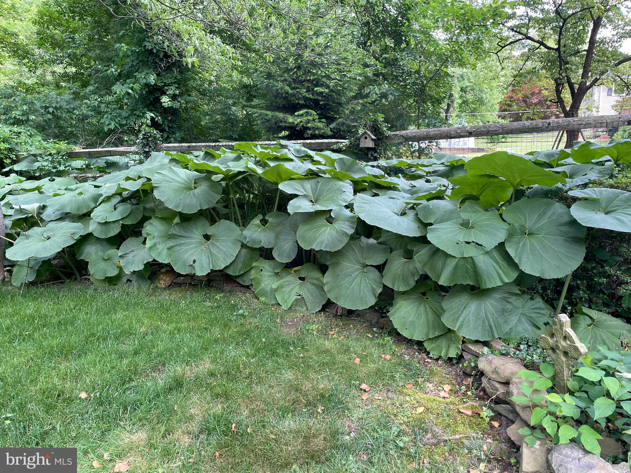 PEBBLE HILL - Residential