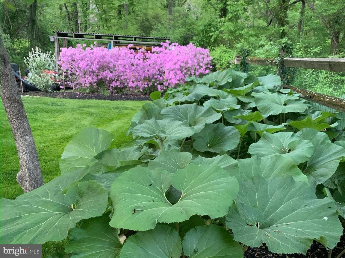 PEBBLE HILL - Residential