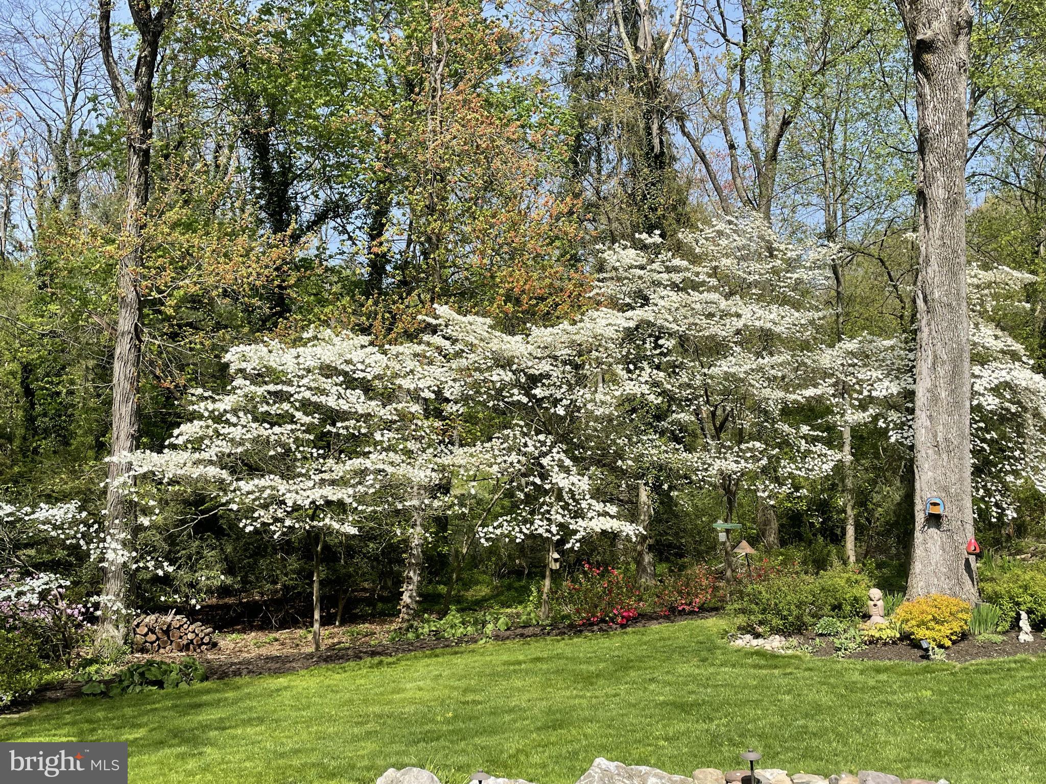 PEBBLE HILL - Residential