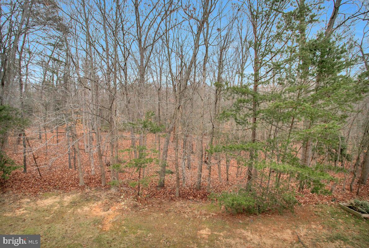 PINEY ORCHARD - Residential Lease