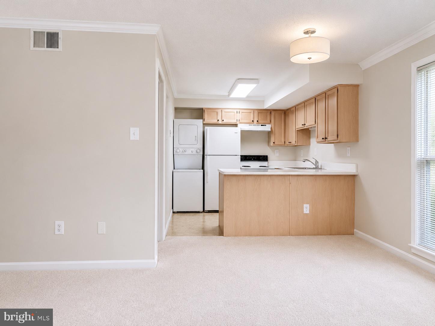 3123 PATRICK HENRY DRIVE 311
