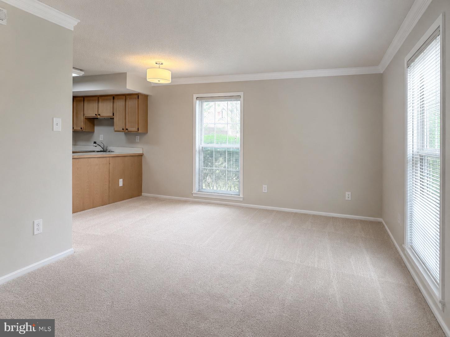3123 PATRICK HENRY DRIVE 311
