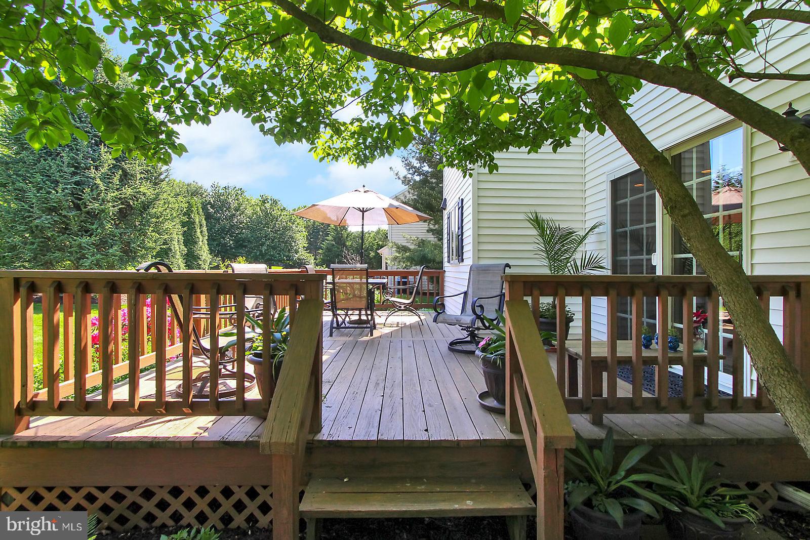 CHESTNUT RUN - Residential