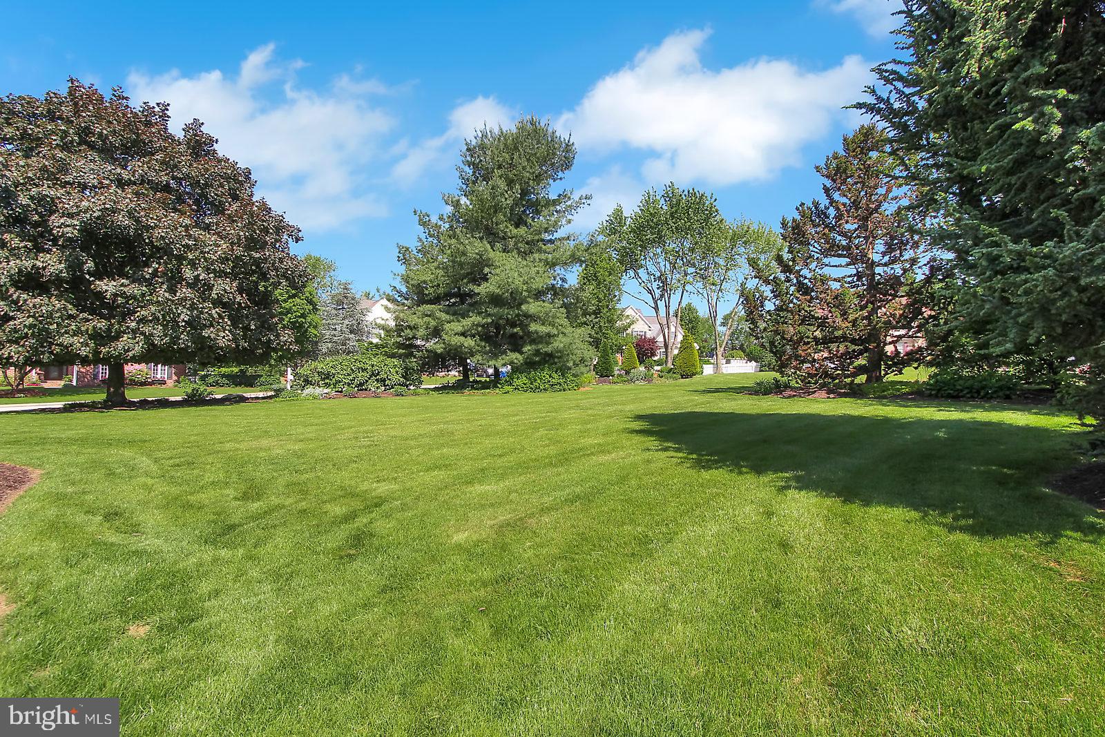 CHESTNUT RUN - Residential