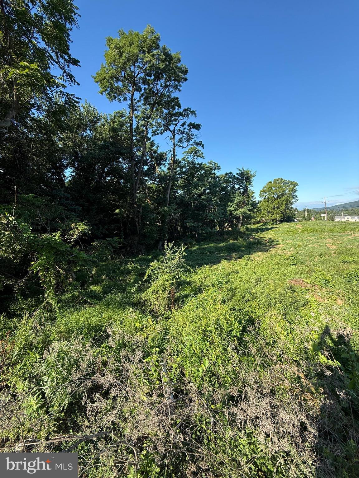 4333 LINGLESTOWN ROAD