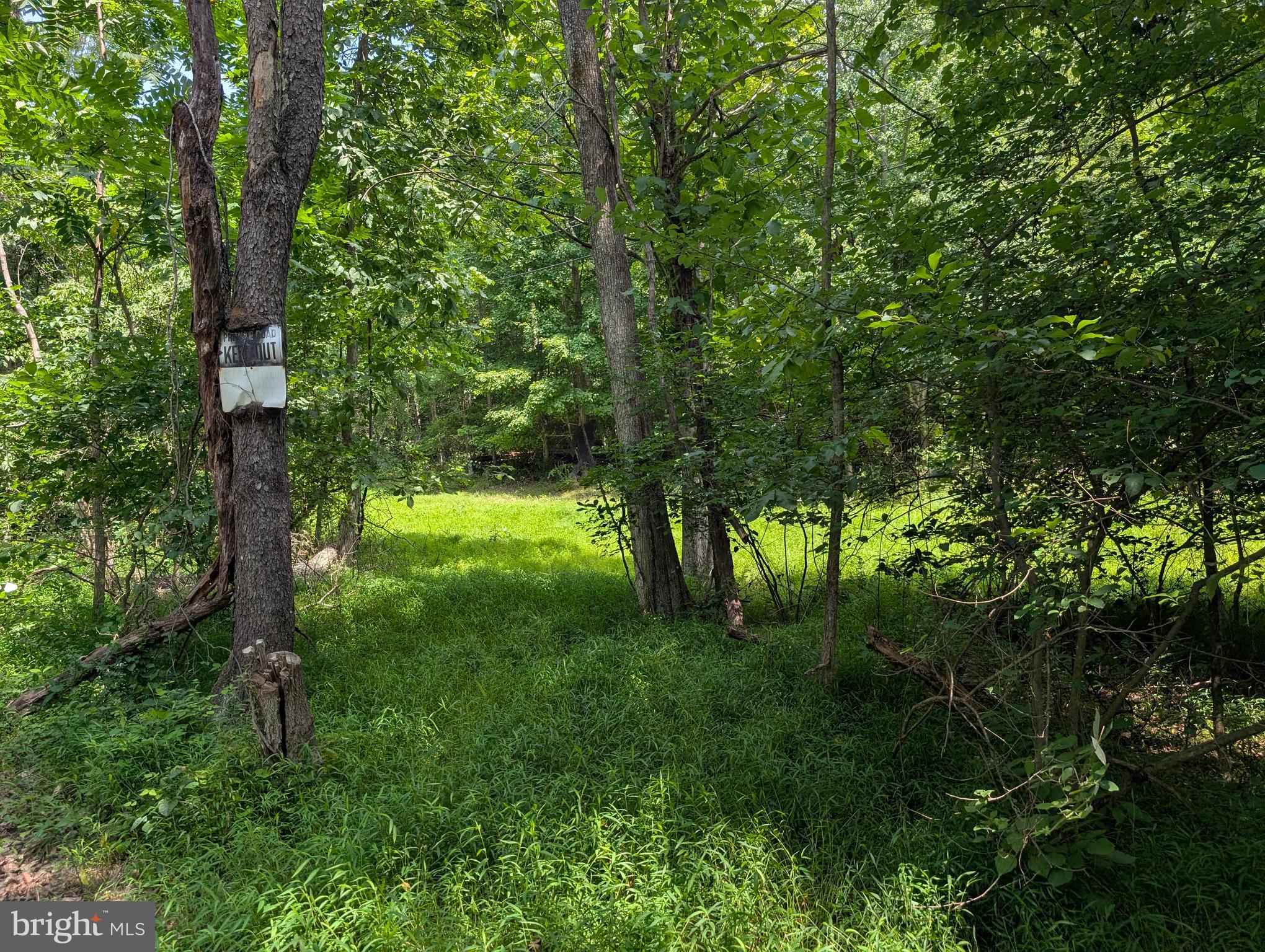 GRASSHOPPER HOLLOW/SIR JOHN'S RUN P/O PAR 32