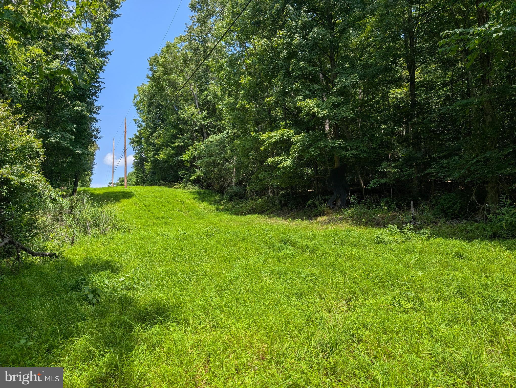 GRASSHOPPER HOLLOW/SIR JOHN'S RUN P/O PAR 32