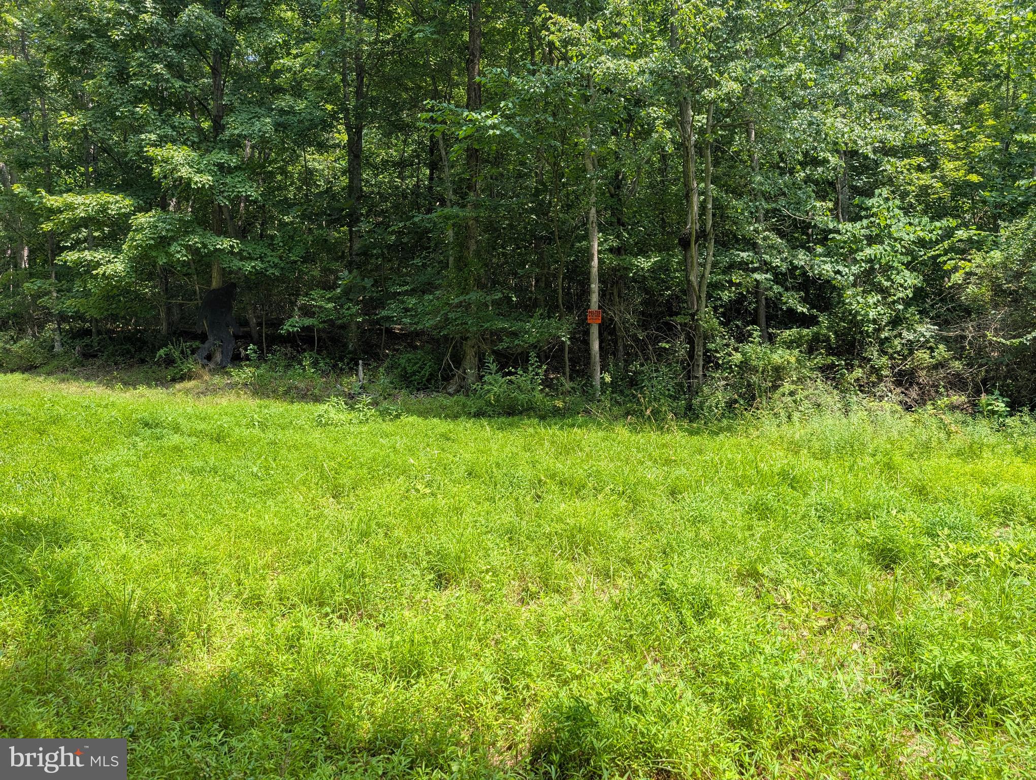 GRASSHOPPER HOLLOW/SIR JOHN'S RUN P/O PAR 32