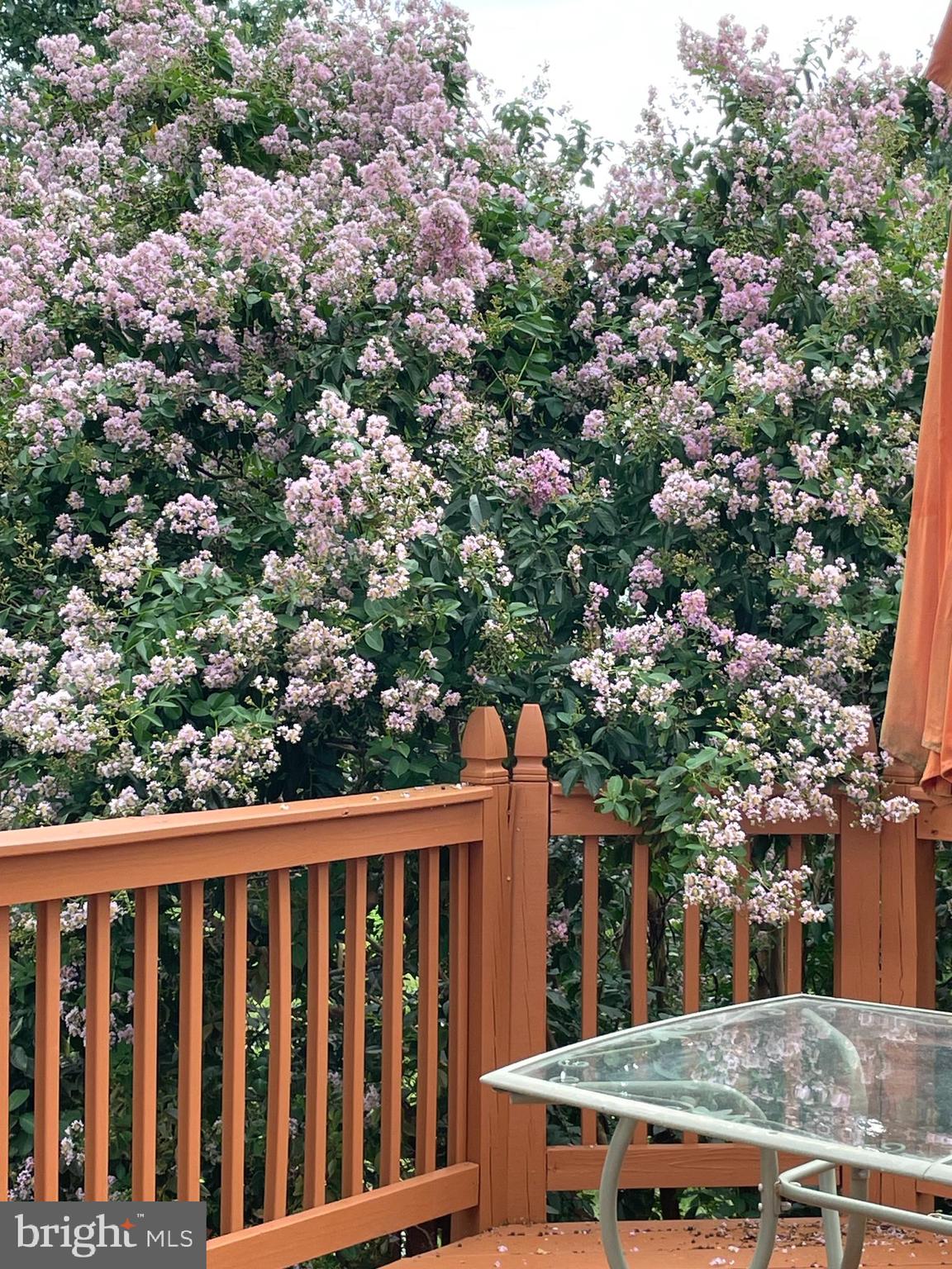 LOWES ISLAND/CASCADES - Residential