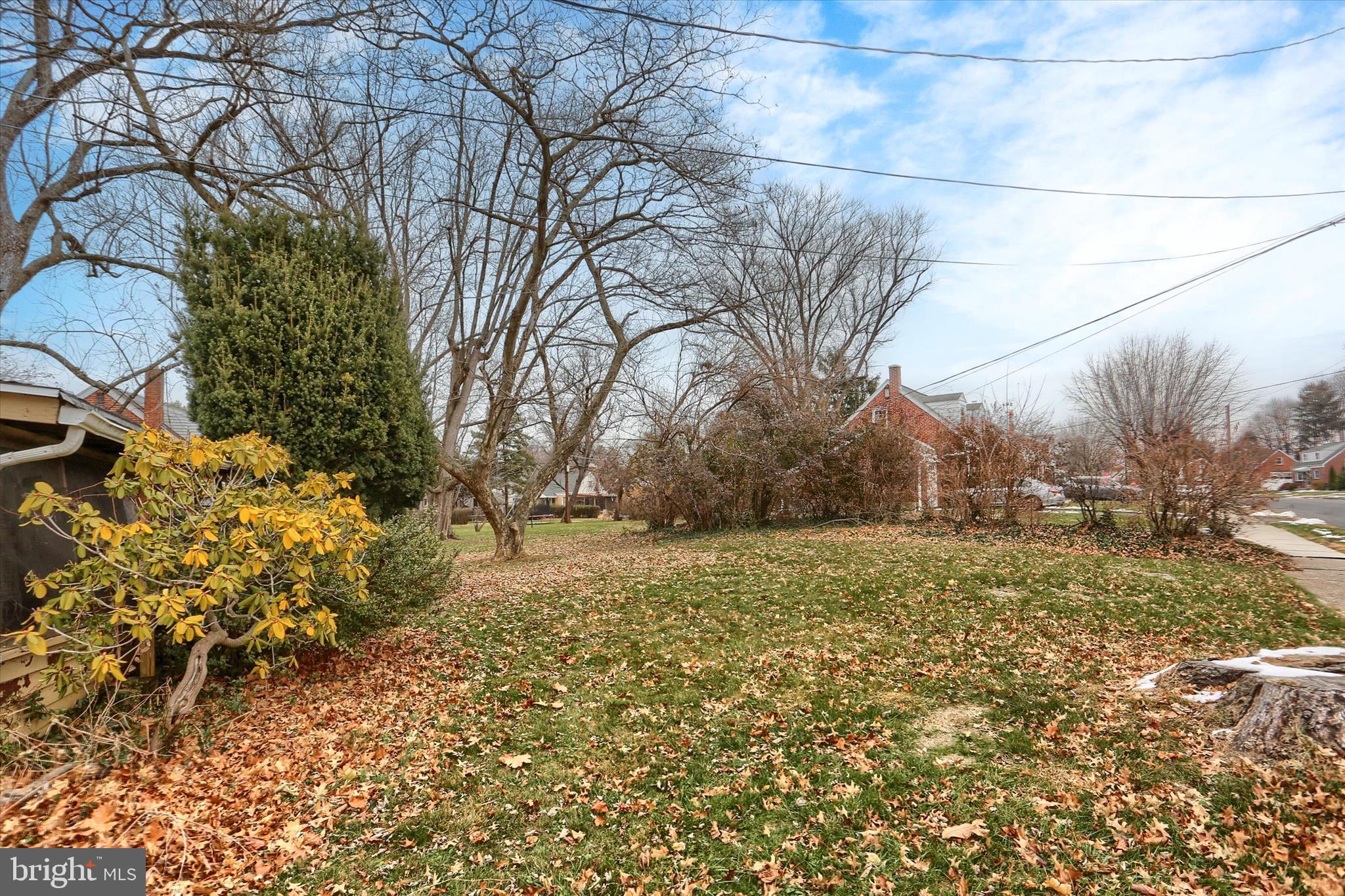 COLLEGE PARK - Residential