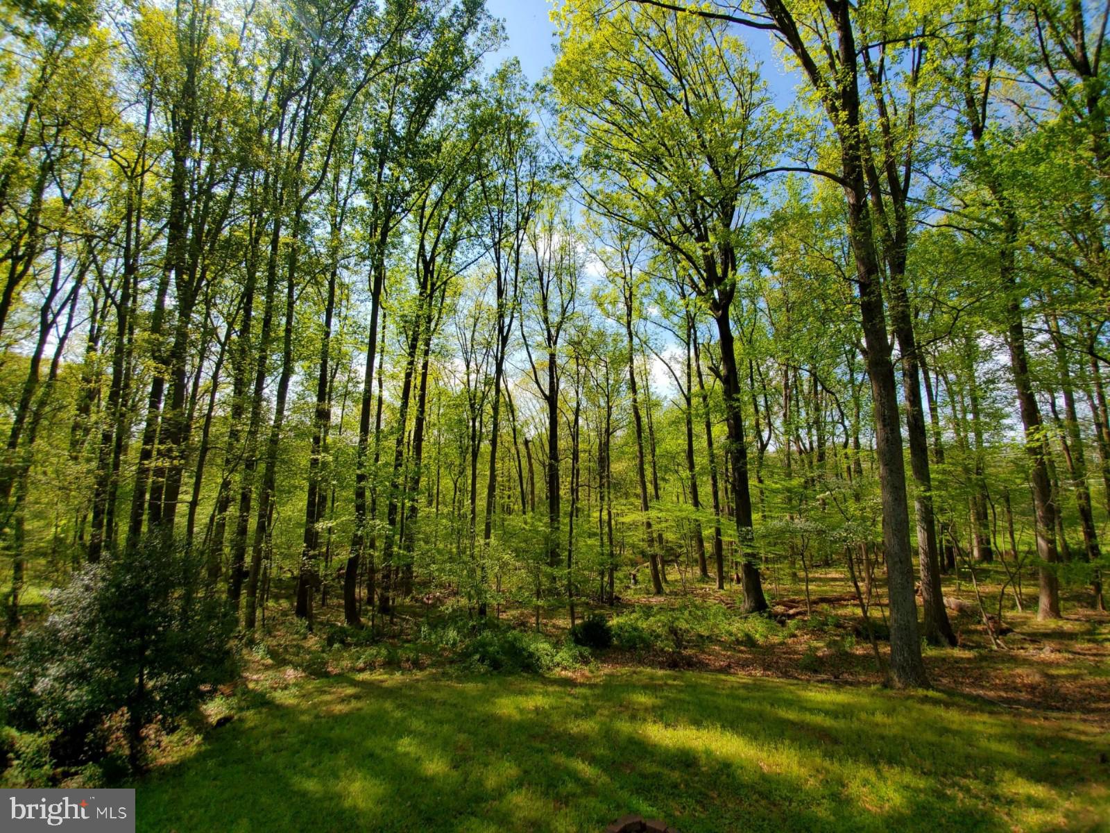 HOLLINRIDGE - Residential