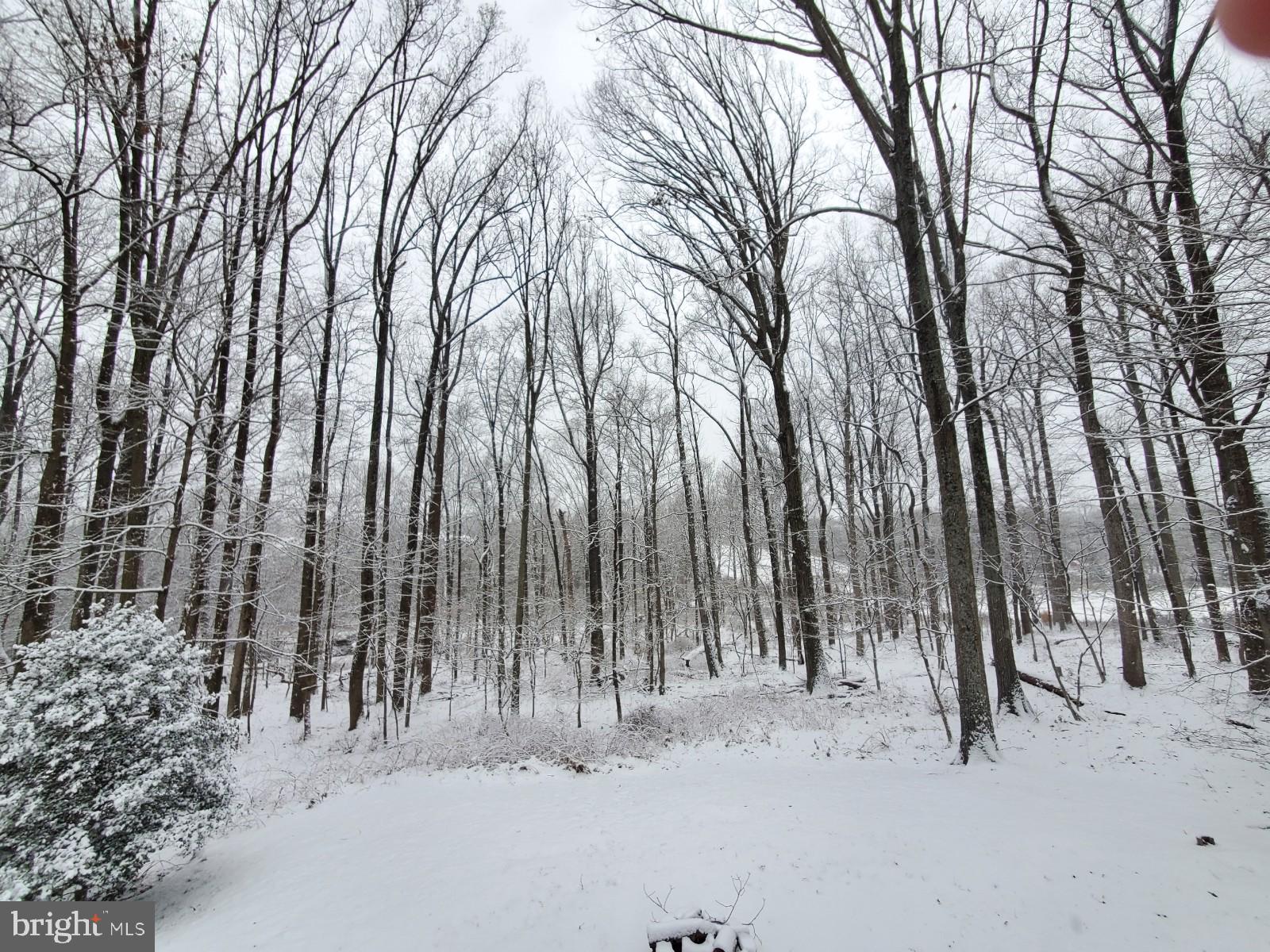 HOLLINRIDGE - Residential