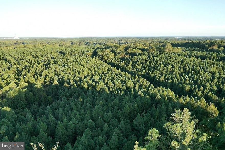 🌲 162.17 Acres of Wooded Serenity Discover the perfect blend of privacy and potential with this expansive 162.17-acre wooded lot. Whether you're dreaming of a secluded retreat, a recreational haven, or future development, this land offers endless possibilities.

🏡 Your Own Private Oasis Surround yourself with nature, create your dream estate, or explore investment opportunities—all within reach of modern conveniences.

📍 Prime Location Just minutes from Dahlgren and local shopping, enjoy the peace of rural living without sacrificing accessibility.