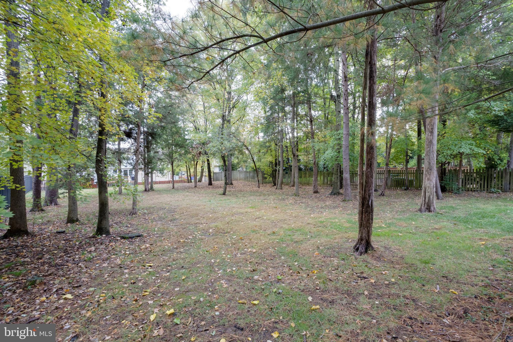 CEDAR KNOLL - Residential