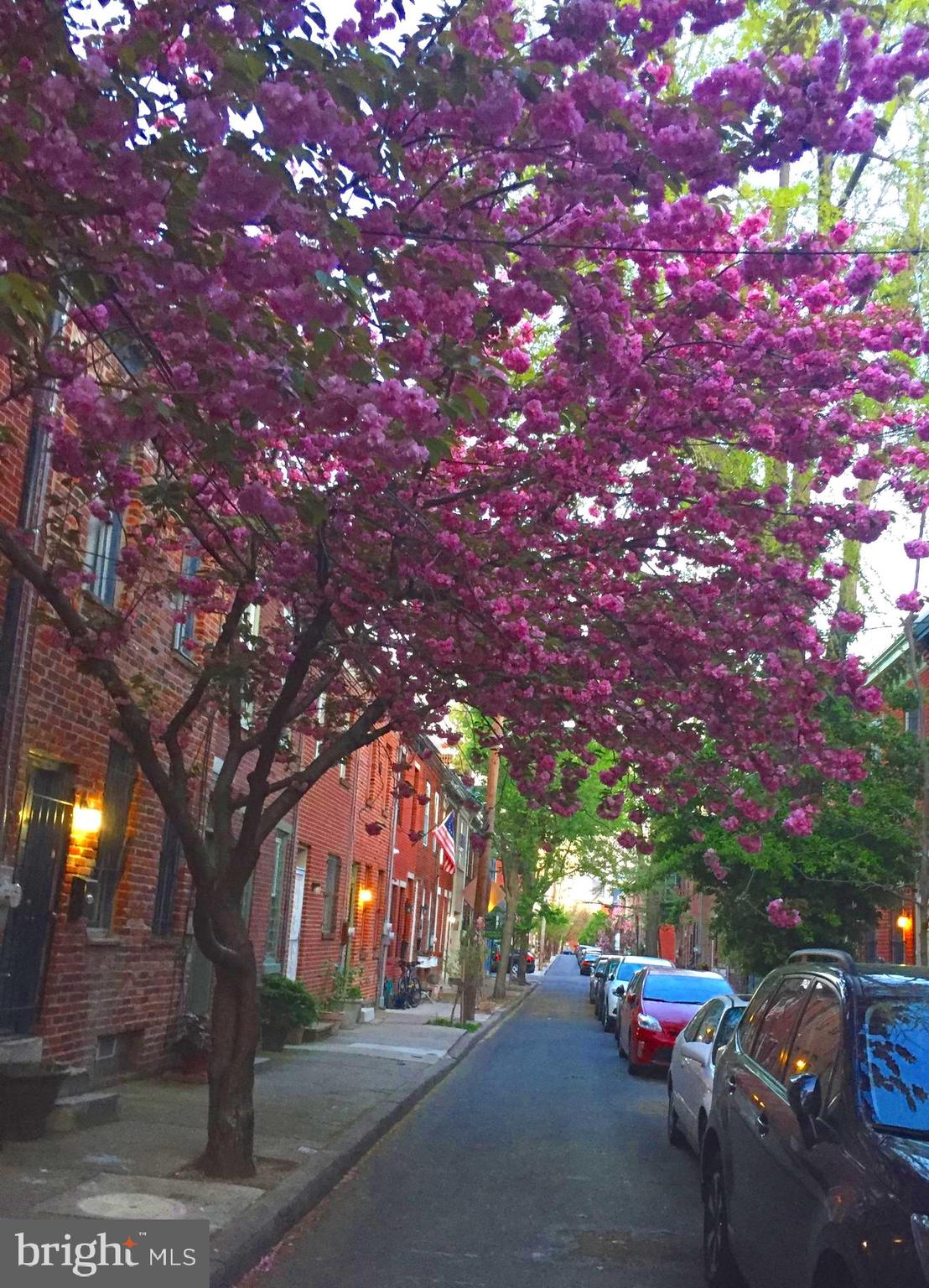 GRADUATE HOSPITAL - Residential