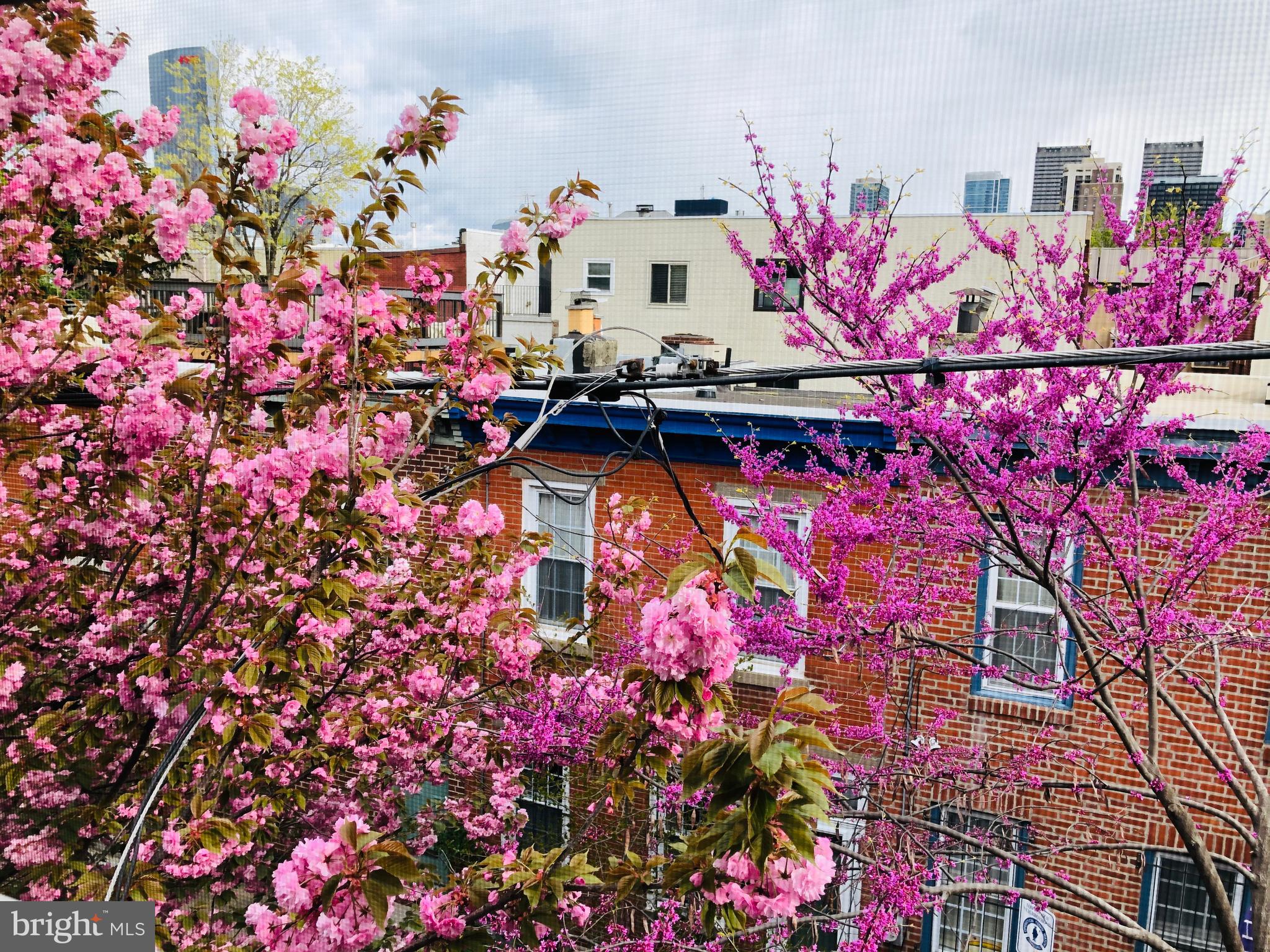 GRADUATE HOSPITAL - Residential