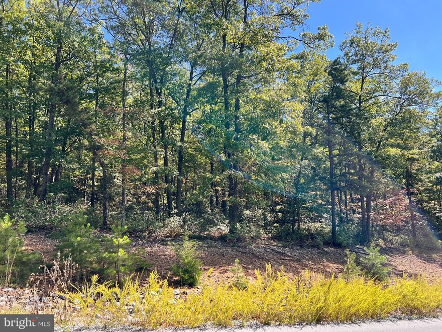 Heavily Wooded 1.01 acre homesite that is located on one of the higher elevations in the community. This property is in close proximity to the Sleep Creek Wildlife Management area with plenty of trails. Perfect location to build your dream home or vacation getaway. Public water and sewer hook ups are available. Class A membership available.