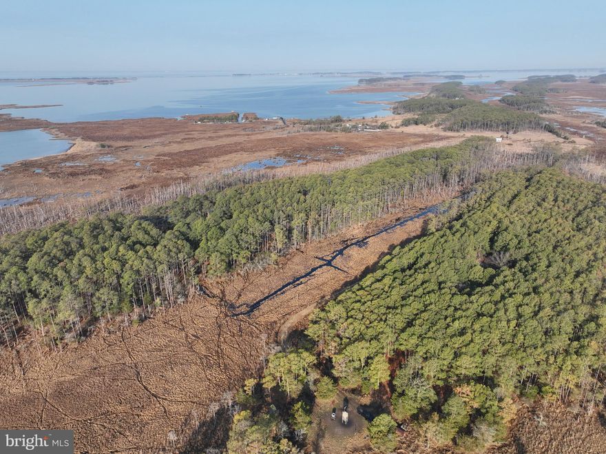 Asquith Sika Slam is 233 acres of pure sika hunting joy. The property consists of approximately 1/4 upland woods with the remainder in marsh, along the river on the south end. There is a great driveway back into the property where you’ll find an already installed BAT septic system to a sand mound drain field. Great opportunity to have some of the best deer and waterfowl hunting around, with the chance to build a cabin or your dream home, whatever you prefer. Several creeks  and guts run up into the property providing great boat access to more remote places on the land. This is a READY. TO. HUNT property that can be fine tuned as you prefer. The following items convey with the property:
💥9 Nice Box Blinds (Titan, Muddy, and 360 blinds)
💥6 ladder stands (most double)
💥One custom built waterfowl blind 
💥7 Blind sites on the river 
💥BAT Septic System installed 
💥Great access into the property

If you have been looking for a property that literally has it all, is super easy to hunt, then look no further and let your imagination run wild on this one! There is nothing but good times and opportunity available. Schedule your private tour today! (No showing without proof of funds)