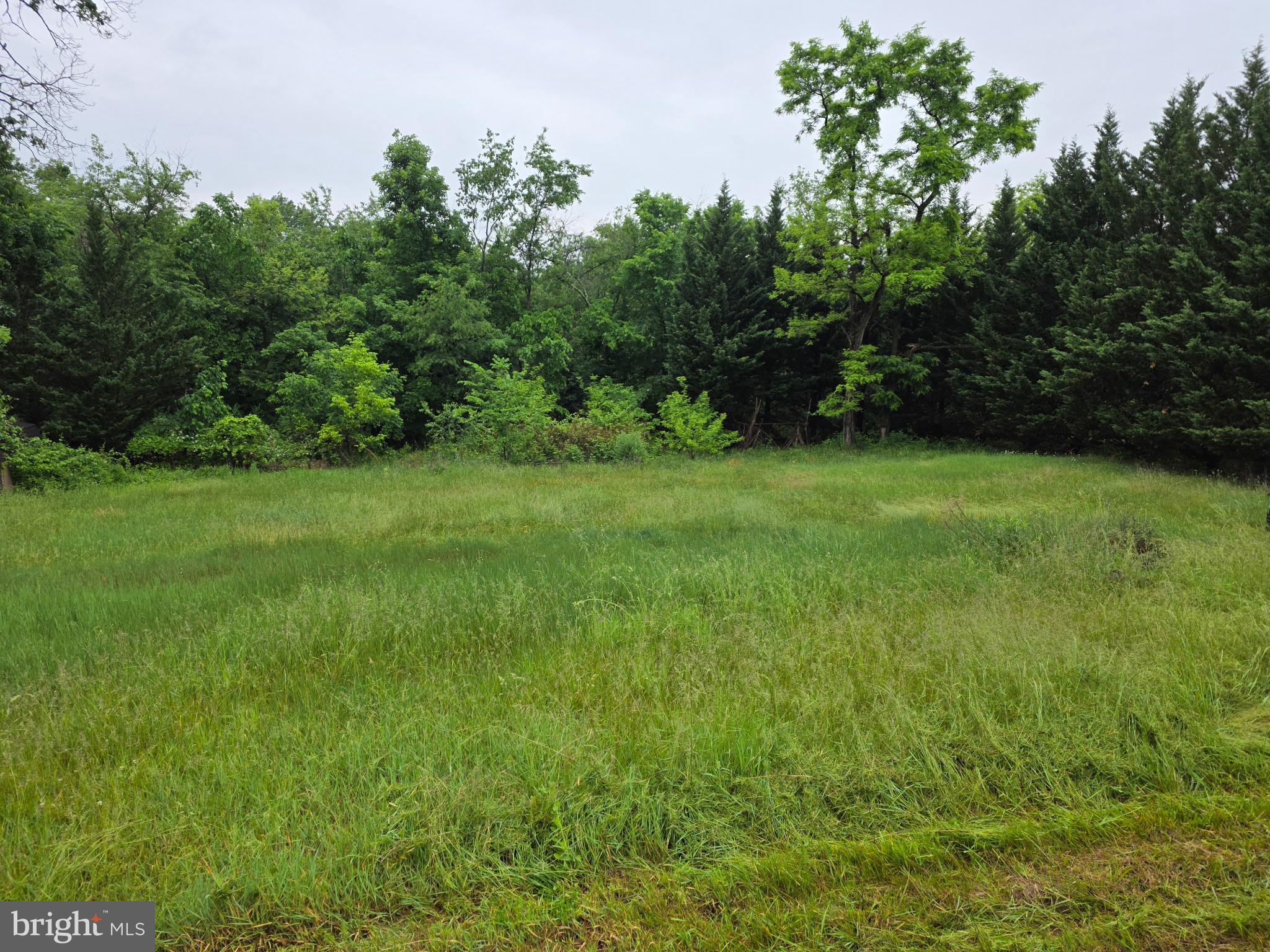 SEELY PINE ESTATES - Land