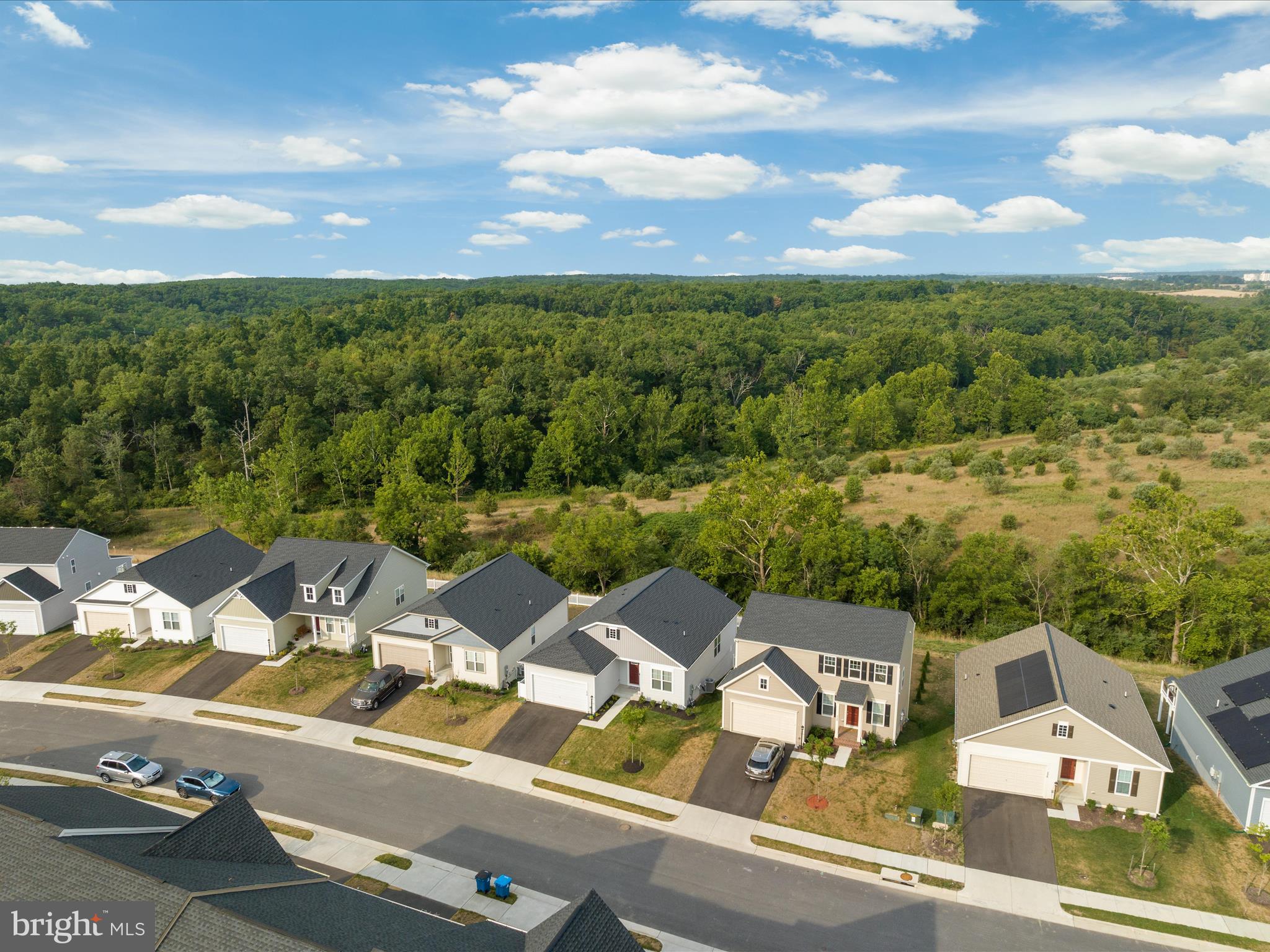 SNOWDEN BRIDGE - Residential