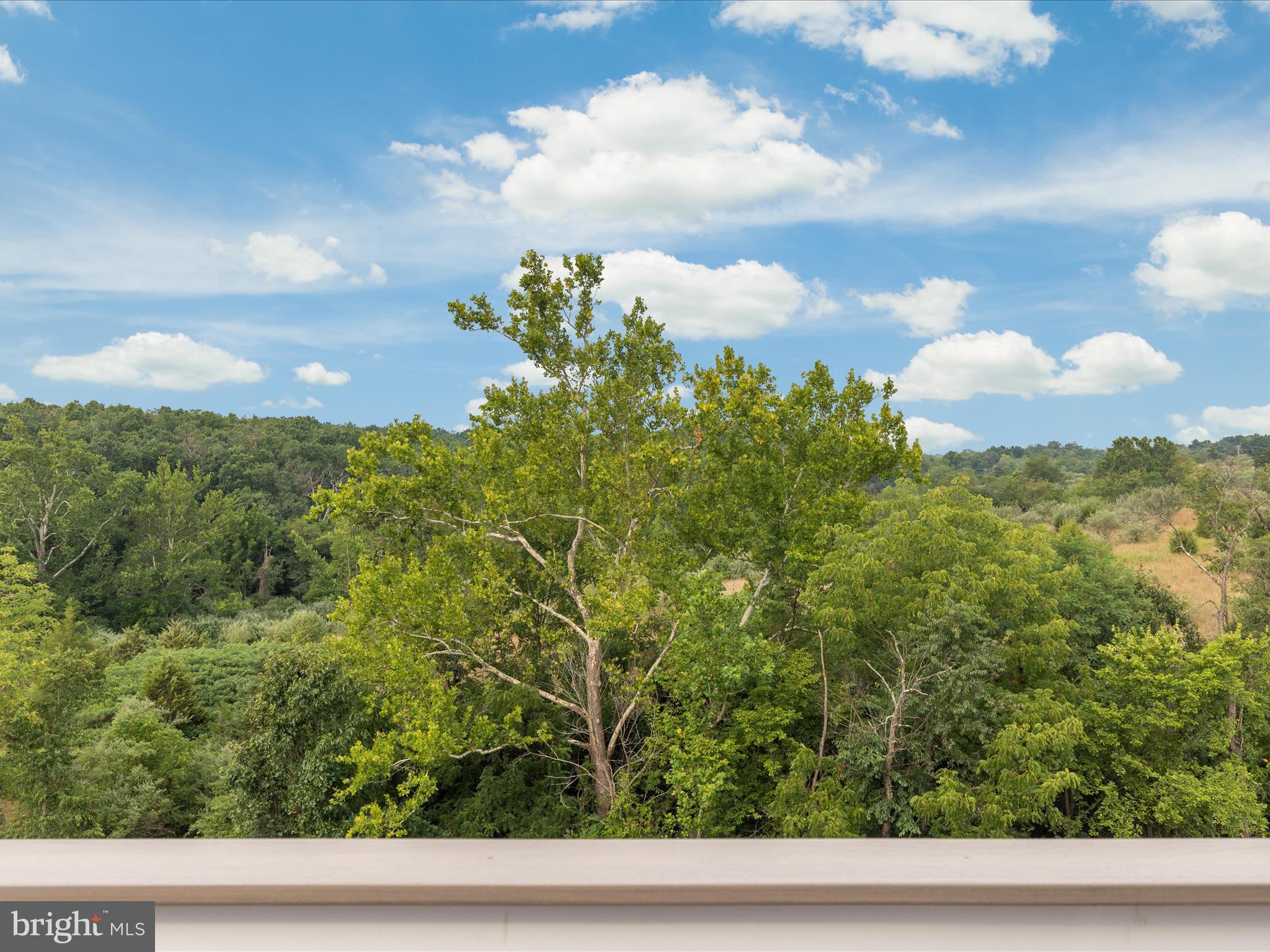 SNOWDEN BRIDGE - Residential