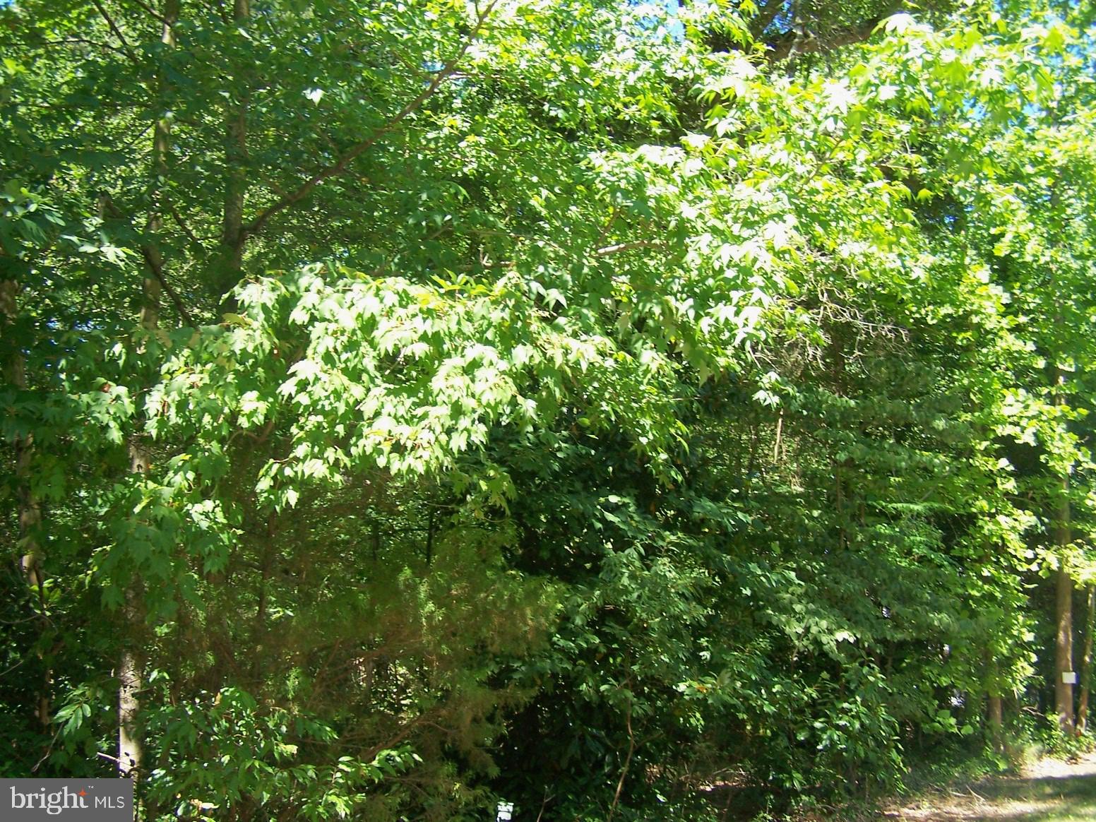 LOT 2 CAT BOAT ALLEY