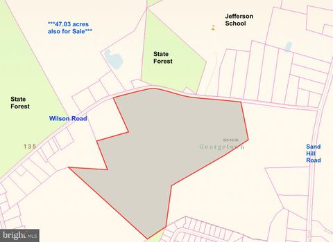 21114 WILSON ROAD GEORGETOWN DE 19947