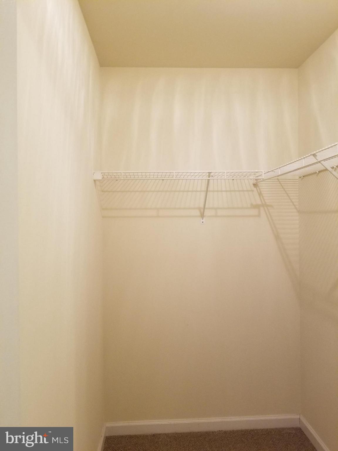 COUNTY GREEN - Residential Lease