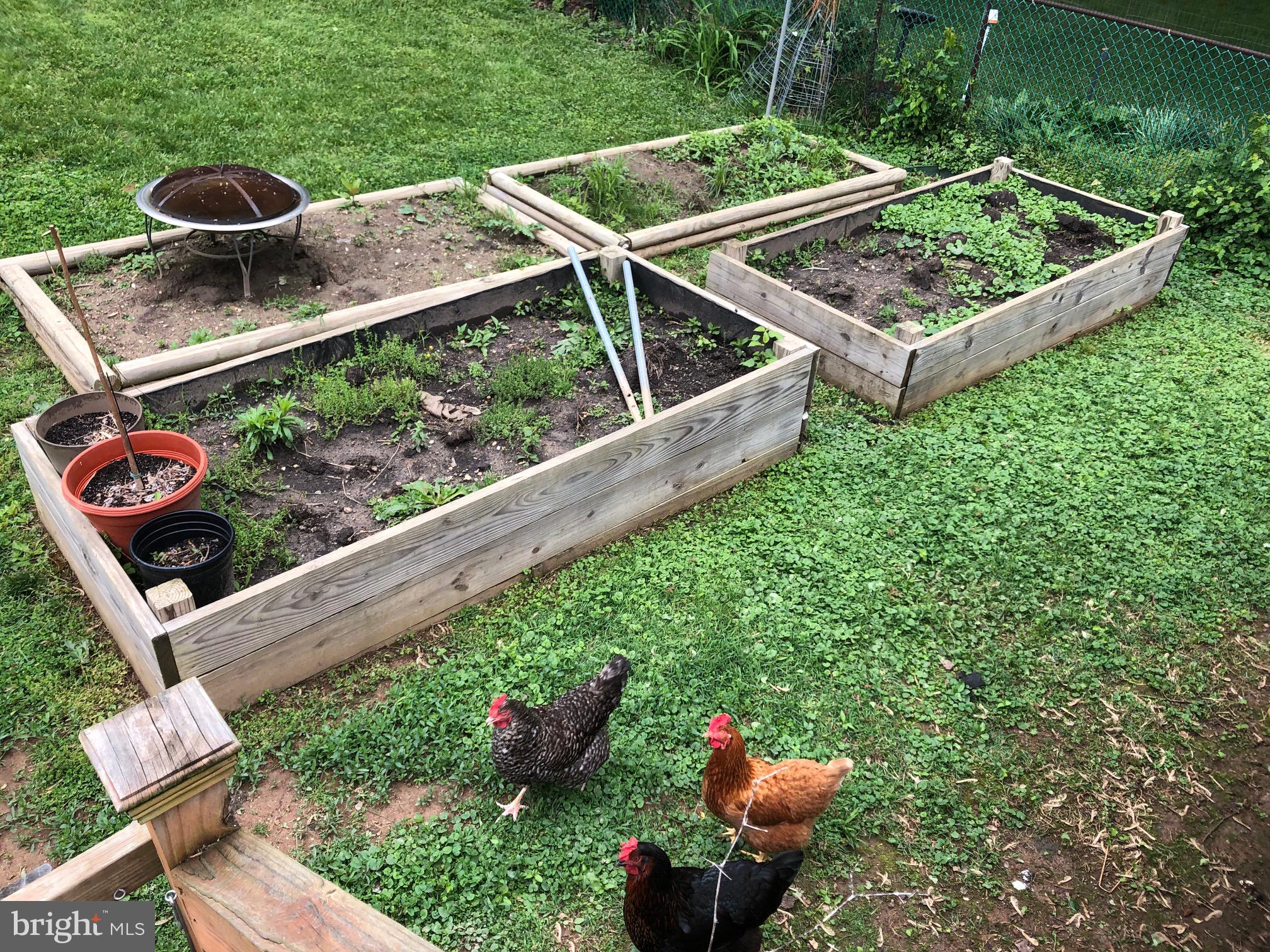 FOREST KNOLLS - Residential Lease