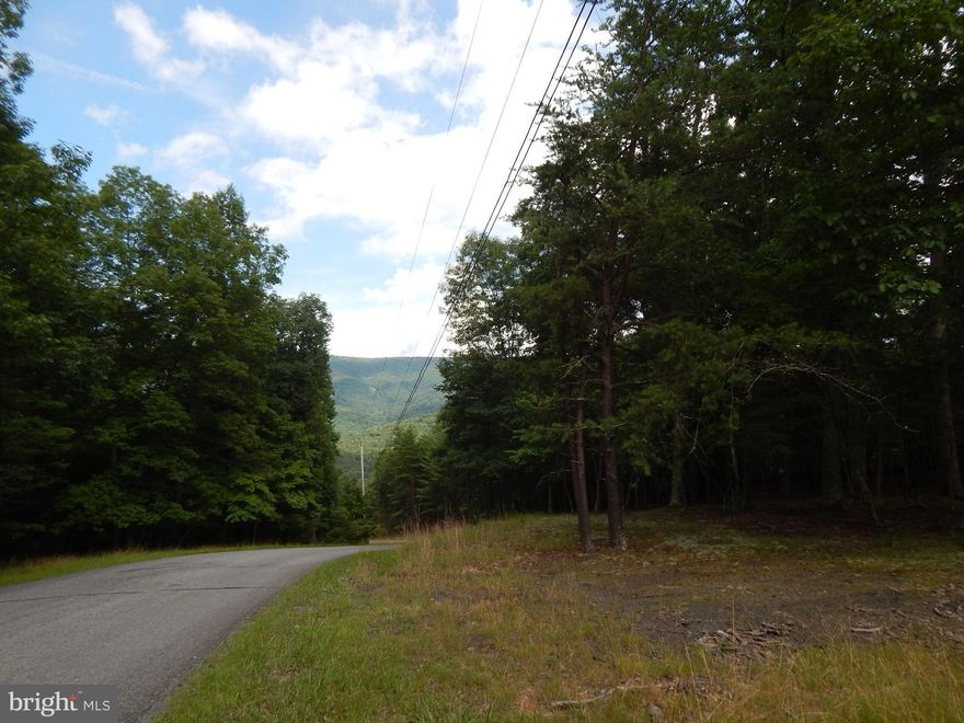 9.16 acres in the gated community of River Ridge.   Land is level with some steep areas, offering privacy and a 180 degree winter view that can be opened to a more year round view.  Located near to the community park which features picnic tables, canoe racks, BBQ pits and bathhouse and access to the Cacapon River for great summertime fun. Fronts paved subdivision road with driveway installed.