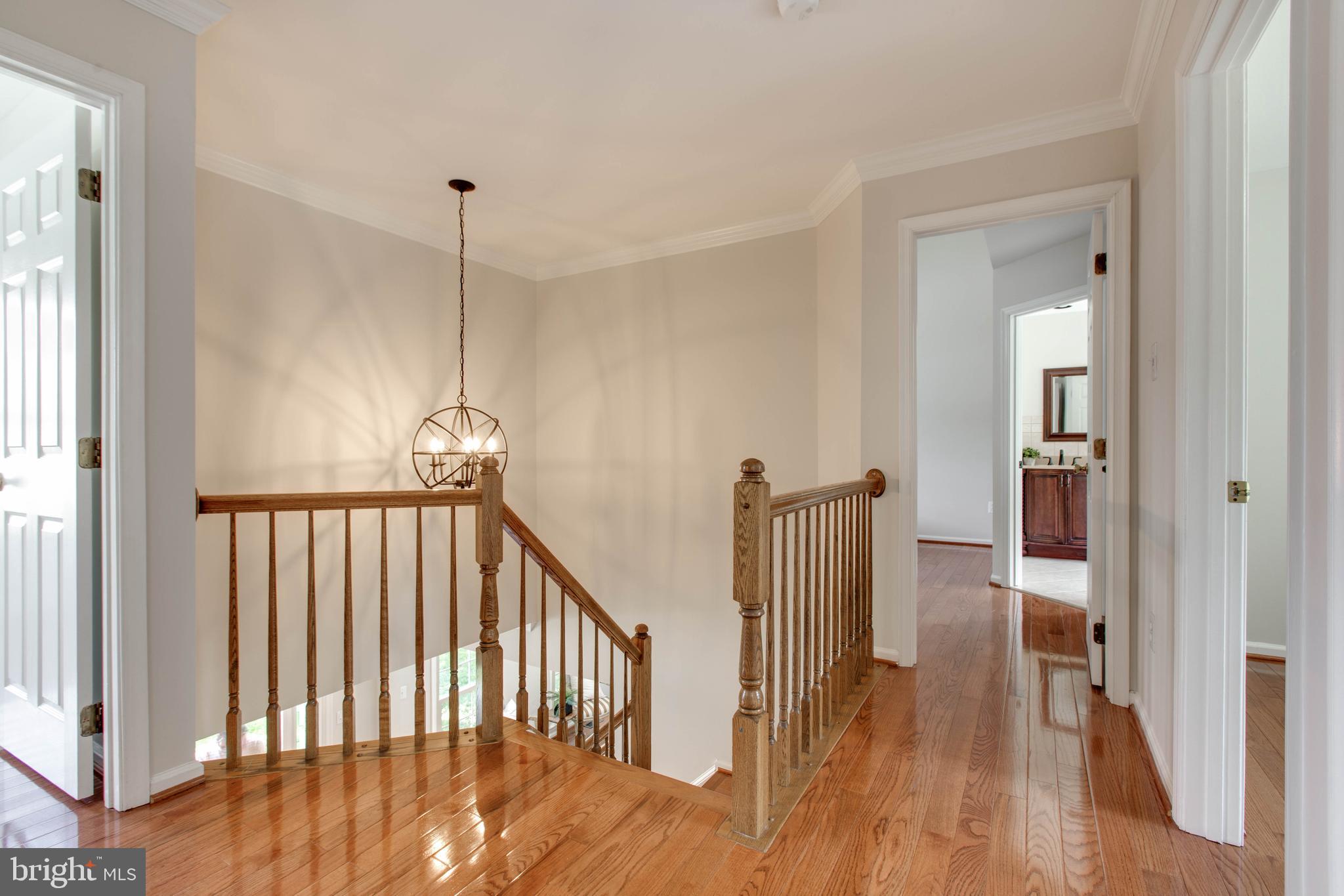 MONTGOMERY MEADOWS - Residential