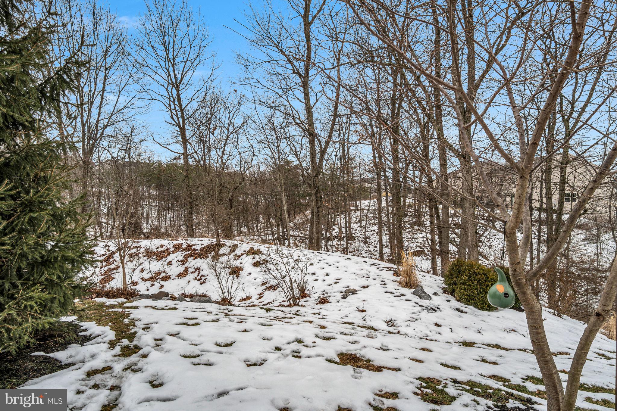 VILLAGE AT NORTH RIDGE - Residential