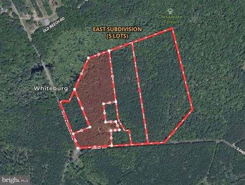 Vacant Land For Sale - LOT 2 Sand Road Cir<br/> SNOW HILL, MD 21863