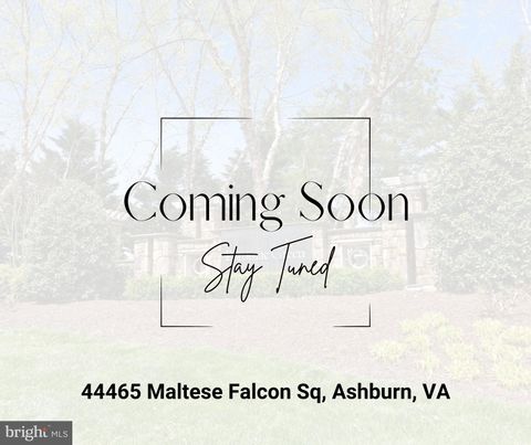 44465 MALTESE FALCON SQUARE ASHBURN VA 20147