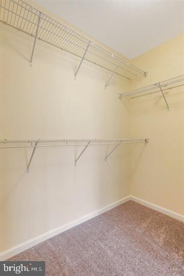 POTOMAC STATION - Residential Lease