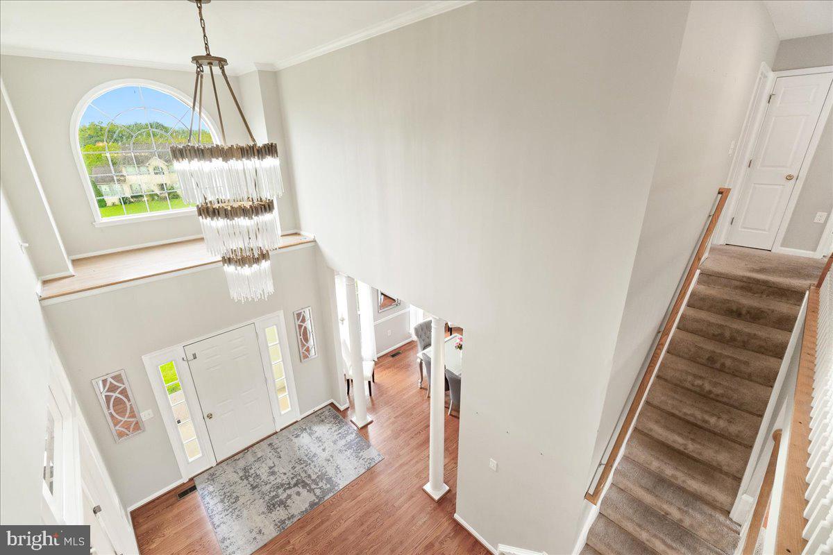 CANVASBACK RIDGE - Residential