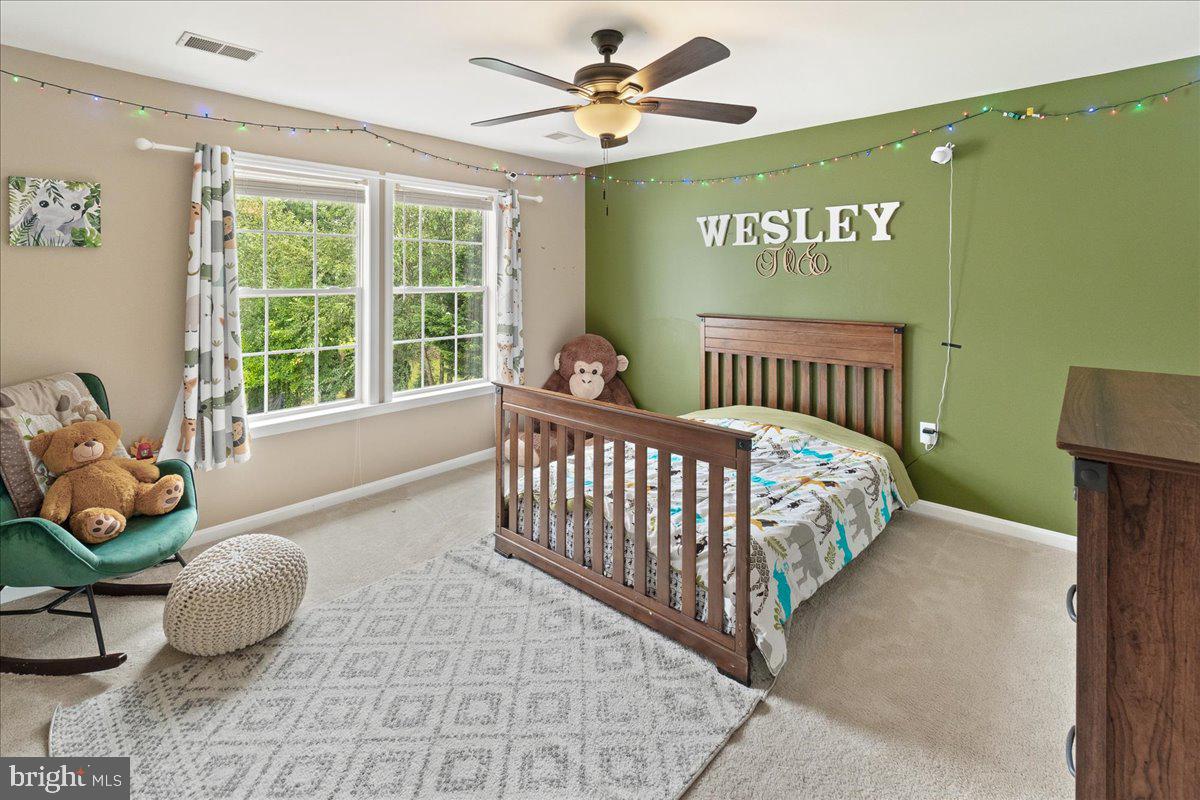 CANVASBACK RIDGE - Residential