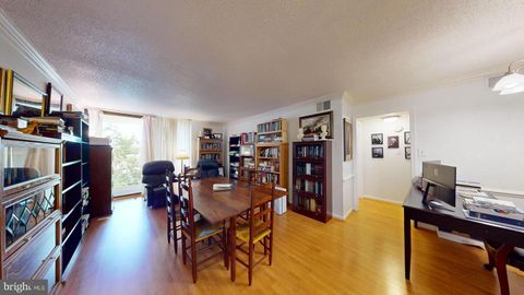 3101 PATRICK HENRY DRIVE 132 FALLS CHURCH VA 22044