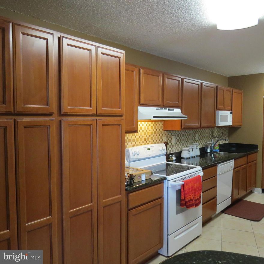 Beautiful, Spacious 2 bed/2bath. Double Balcony & huge Renovated Kitchen w/ Granite counters. Garage Parking, tons of closet space & extra storage in basement. All utilities included in rent and use of all Watergate's Famous Amenities: Indoor/Outdoor Pools & Tennis, free shuttle to Metro, restaurant, conv store, Gated Community. Please call very helpful tenant in advance for showings