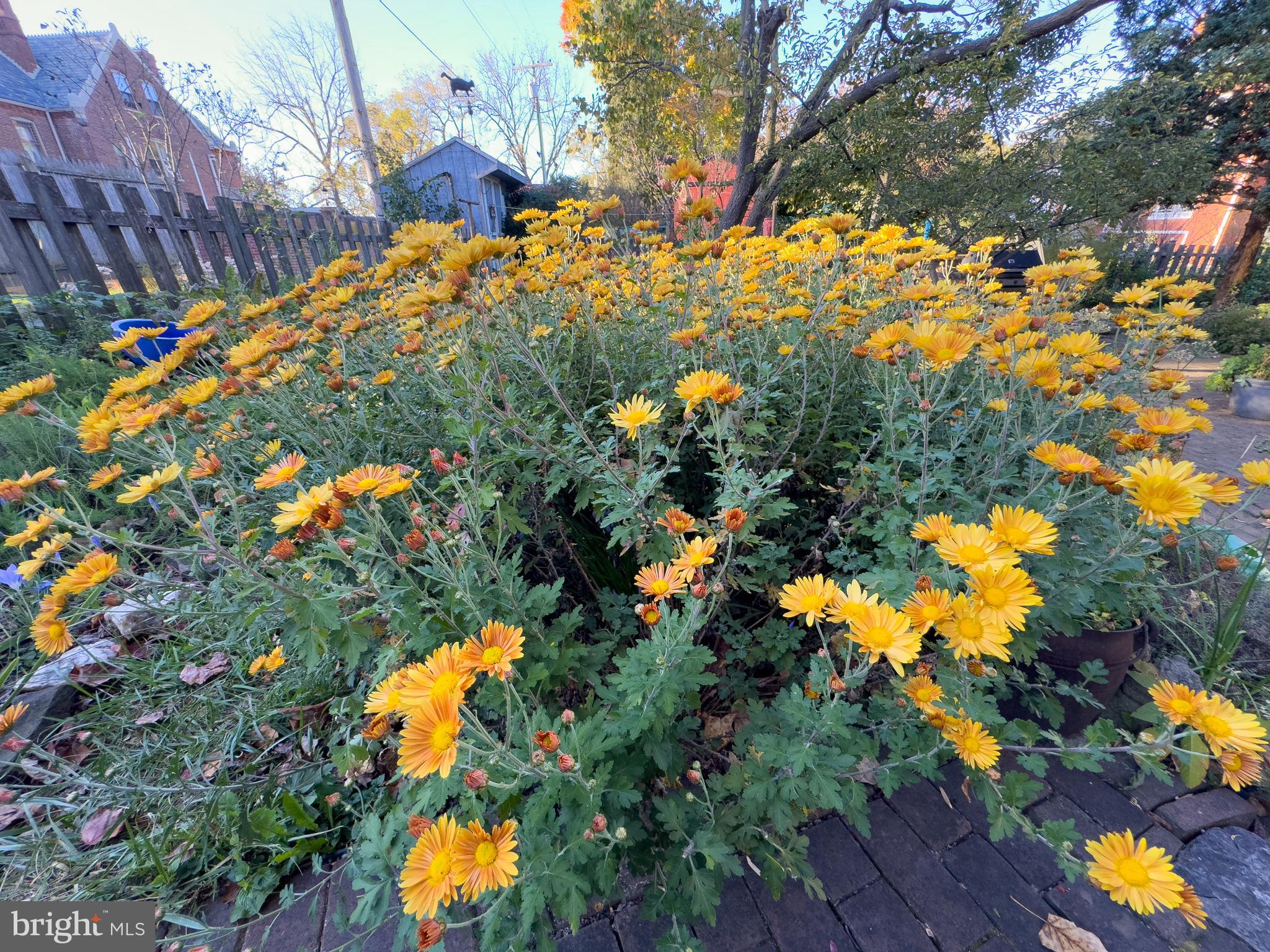 CITY OF CHARLES TOWN - Residential