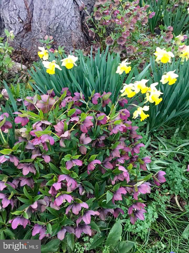 CITY OF CHARLES TOWN - Residential