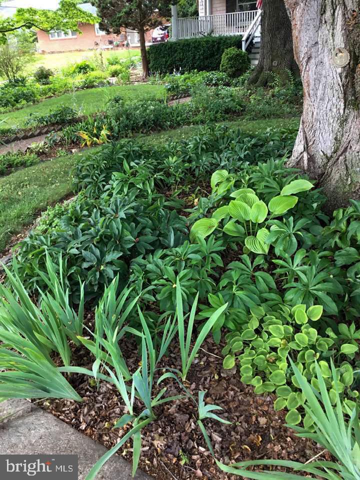 CITY OF CHARLES TOWN - Residential