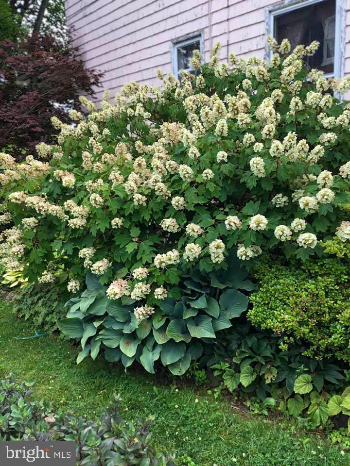 CITY OF CHARLES TOWN - Residential