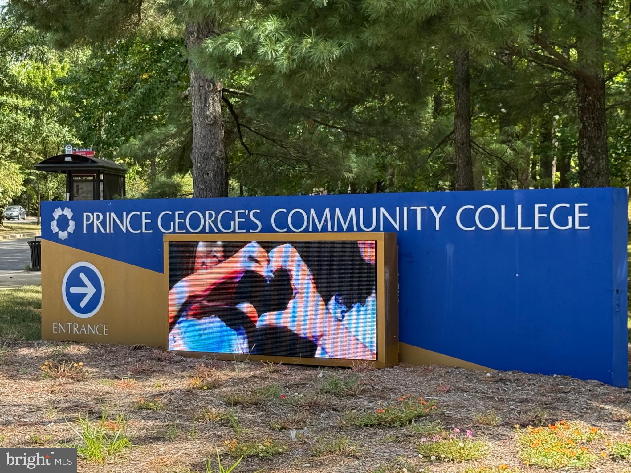 PINES CONDO 01 - Residential