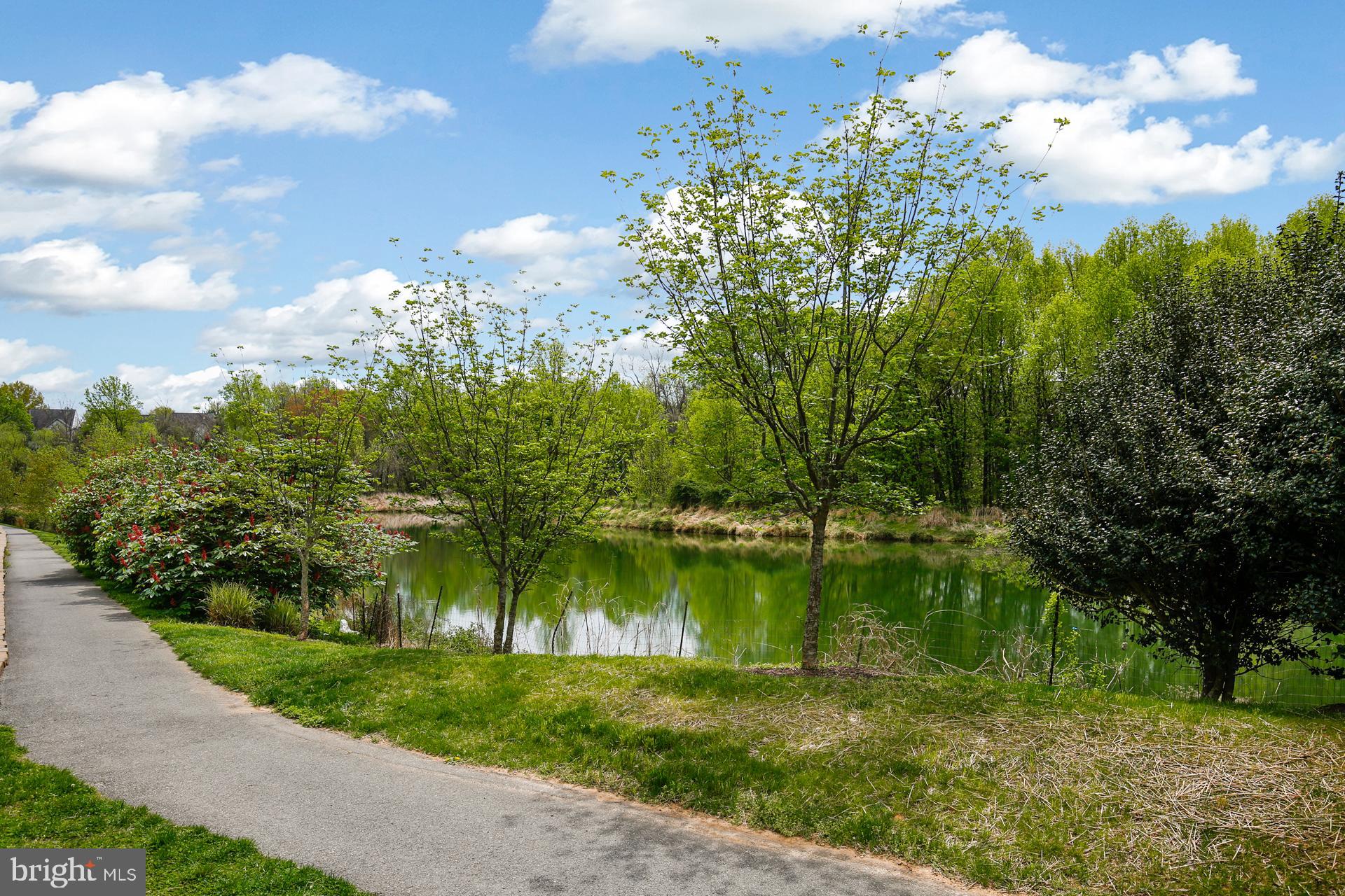 DIAMOND FARM CODM - Residential