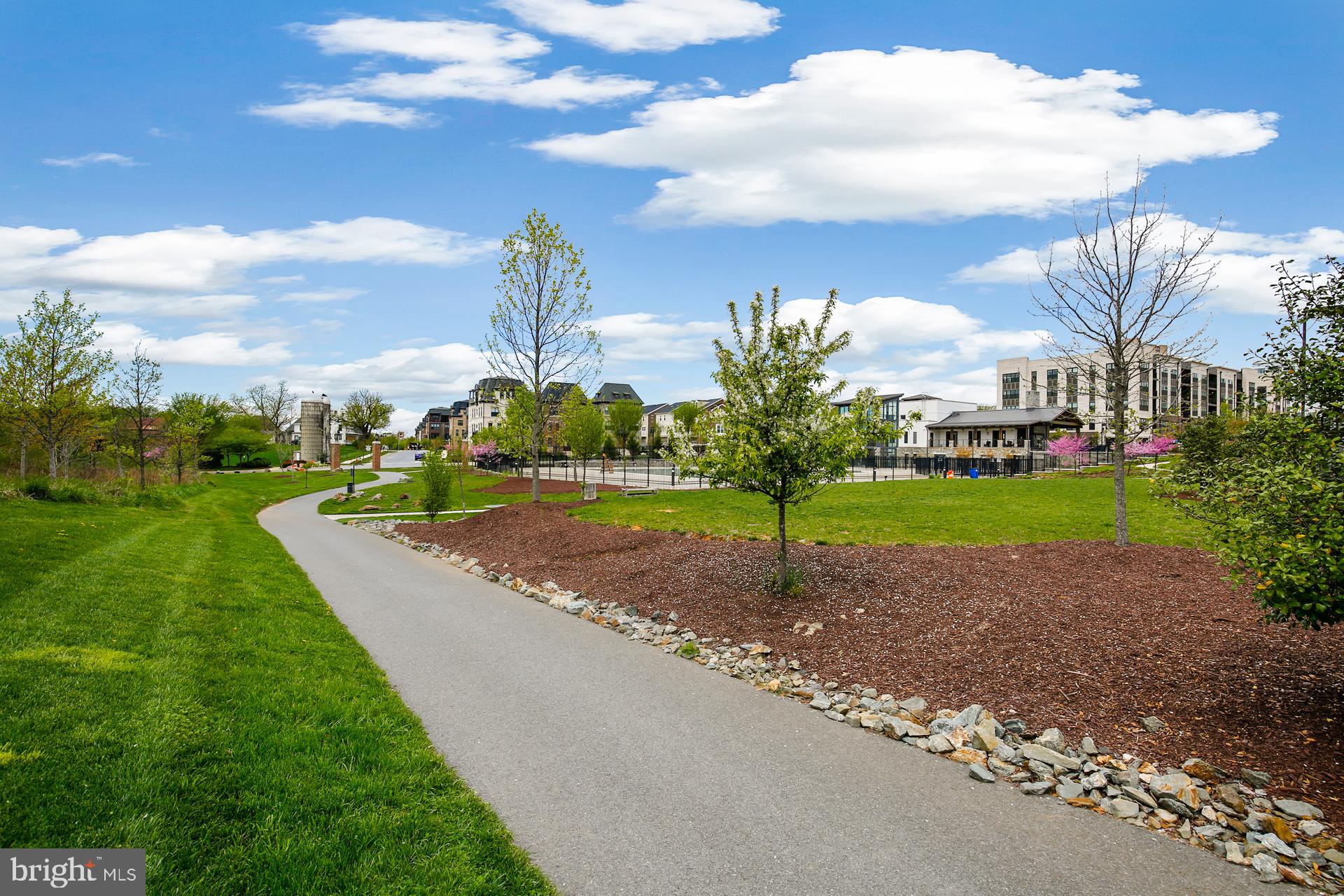 DIAMOND FARM CODM - Residential