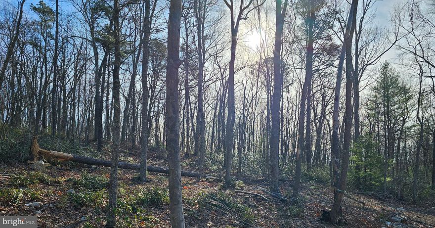 WOODED WITH VIEW this 3.632 wooded acres is located on a county-maintained road with easy access to WV Rt 9. It can have a beautiful mountain view from your front porch.